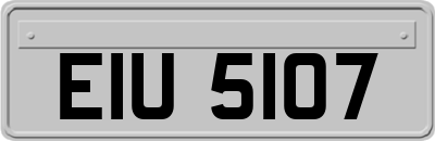 EIU5107