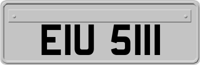 EIU5111