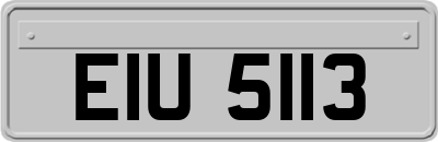 EIU5113