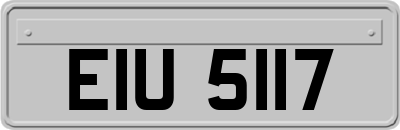 EIU5117