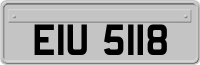 EIU5118