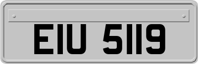EIU5119