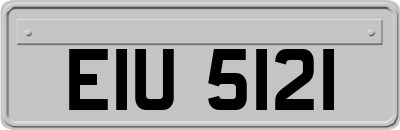 EIU5121