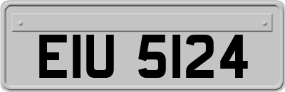 EIU5124