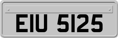 EIU5125