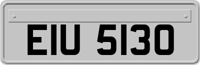 EIU5130
