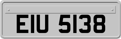 EIU5138