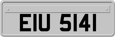 EIU5141