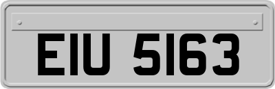 EIU5163