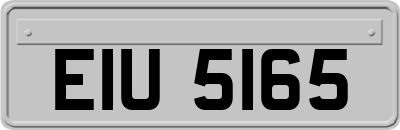 EIU5165