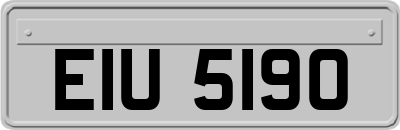 EIU5190