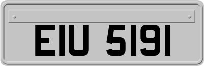 EIU5191