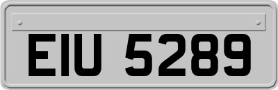 EIU5289