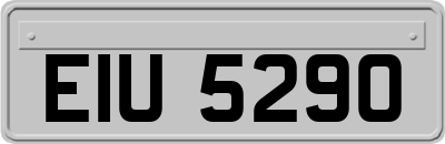 EIU5290