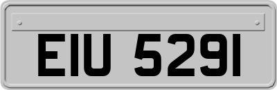 EIU5291
