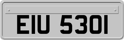 EIU5301