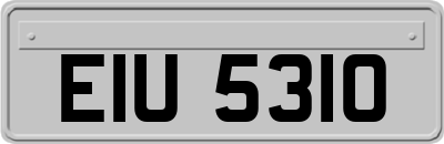 EIU5310