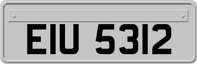 EIU5312