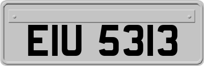 EIU5313