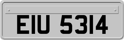 EIU5314