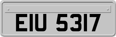EIU5317