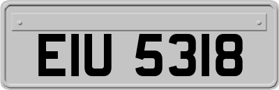 EIU5318