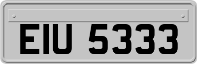 EIU5333