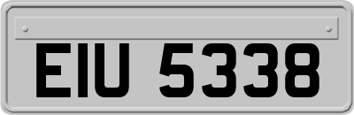 EIU5338