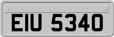 EIU5340