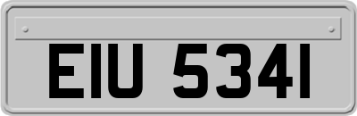 EIU5341