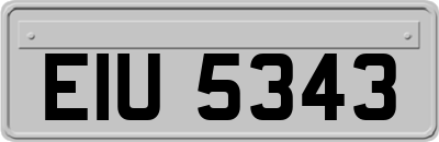 EIU5343