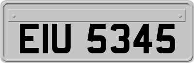 EIU5345