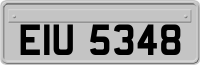 EIU5348