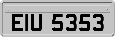 EIU5353