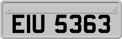 EIU5363