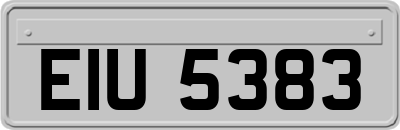 EIU5383