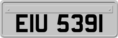 EIU5391