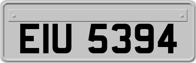 EIU5394