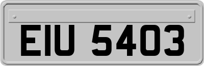EIU5403