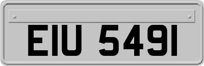 EIU5491