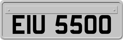 EIU5500
