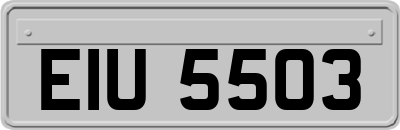 EIU5503