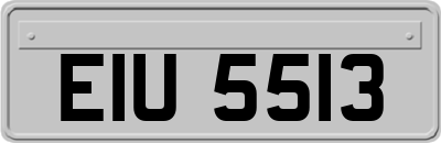 EIU5513