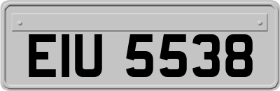 EIU5538
