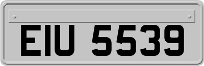 EIU5539