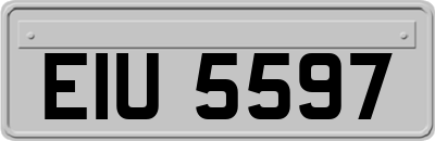 EIU5597