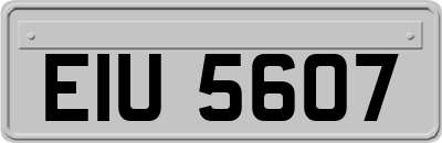 EIU5607
