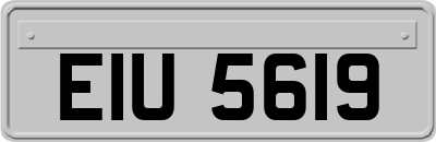 EIU5619