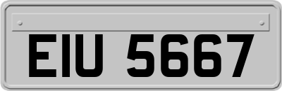 EIU5667