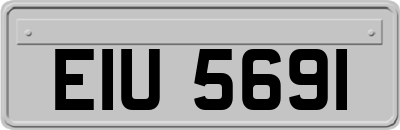 EIU5691